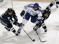 开云下载-葡萄牙强势晋级威尔士，欧冠半决赛焦点战的战术与意志较量