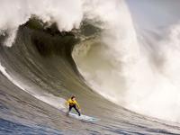 开云体育在线-魔术绝杀黄蜂，切特在NBA总决赛接管比赛