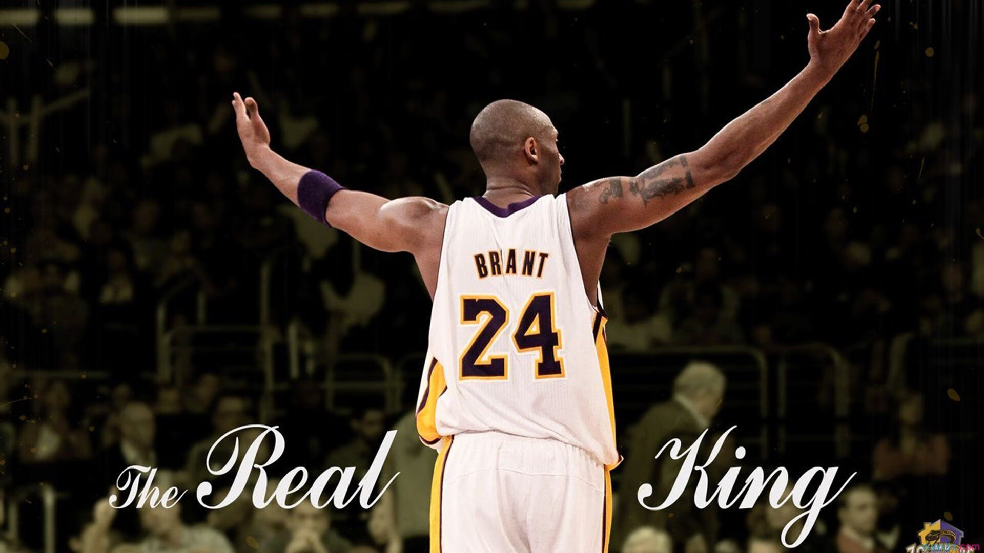 巴西血拼，加拿大接管，恩佐的F1年度争冠之路